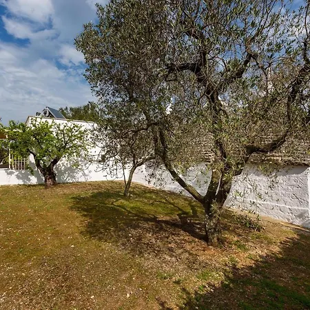 I Trulli Delle Fate Fuffe By Barbarhouse